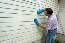 Best Custom Trim and Detailing for Siding  in La Porte, TX